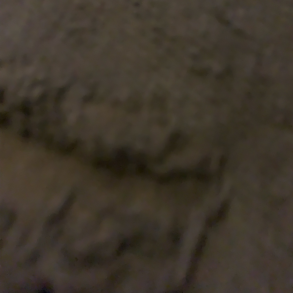 Black short sleeve light sweater